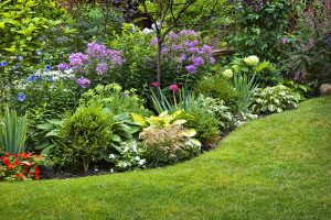 tips-and-tricks-for-efficient-flower-gardening