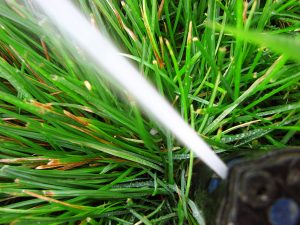 time-proven-gardening-services-for-all