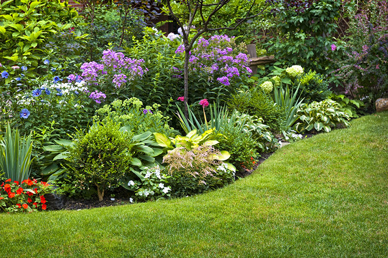 Tips and Tricks for Efficient Flower Gardening