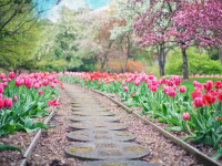 Tights are Perfect for Gardening