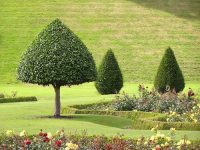 Staying Safe During Your Landscaping and Gardening Projects