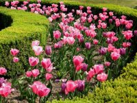 Contract Management for Large Garden Owners