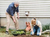 Entering a Horticultural Competition