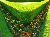 Gardens and Interior Design